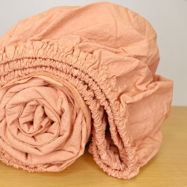 apricot fitted sheet - single