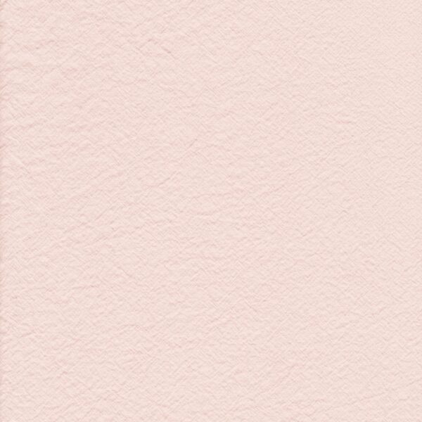 champagne swatch - one size