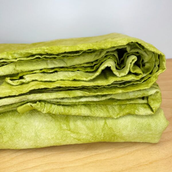 kiwi flat sheet - single