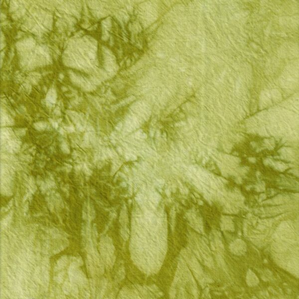 kiwi swatch - one size
