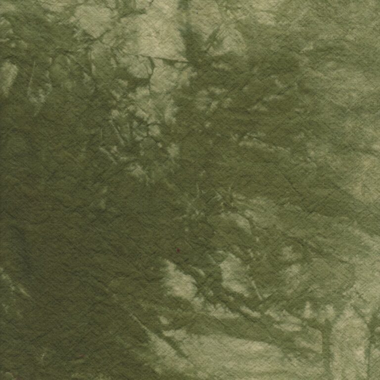 lichen