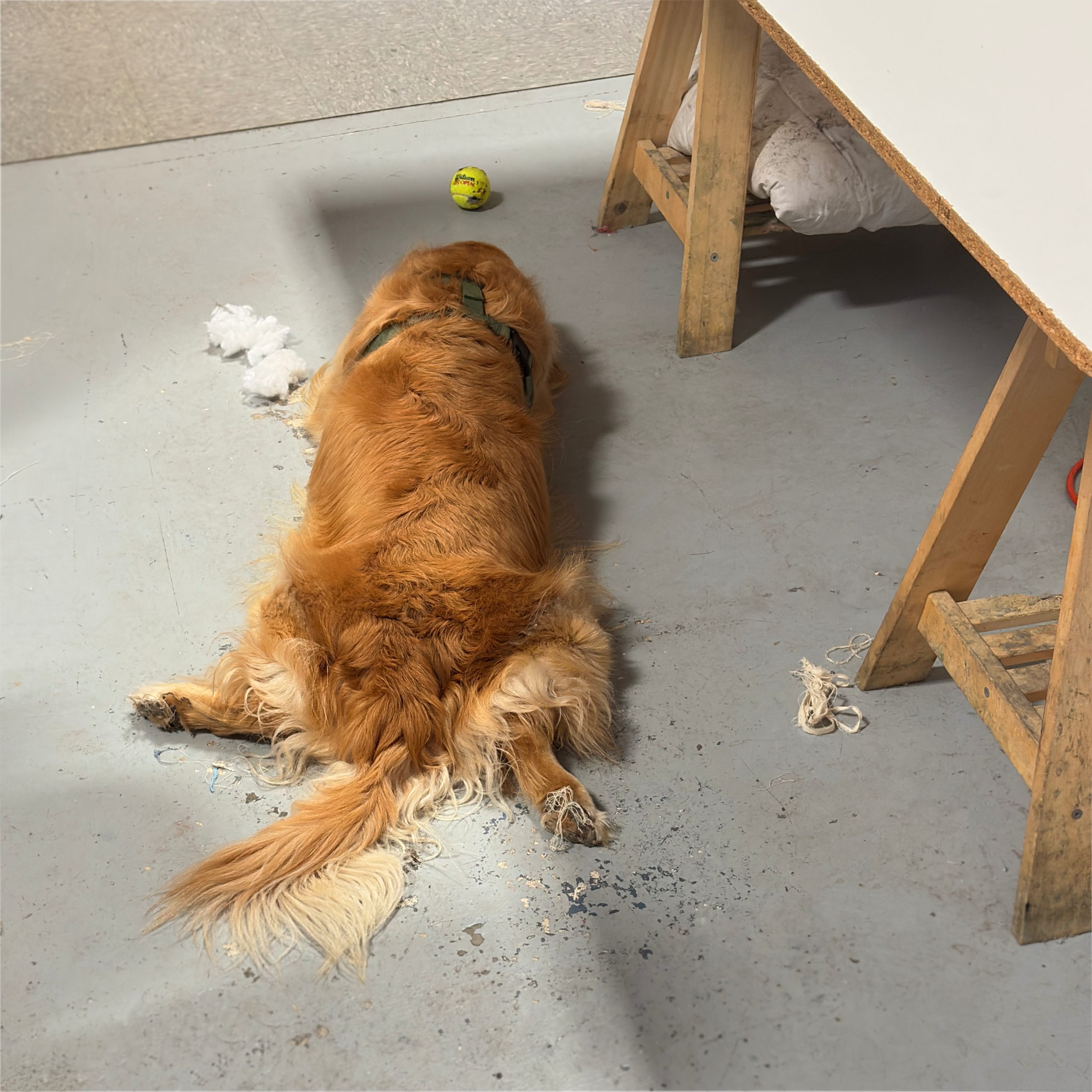 barley swatch - one size - Image 2