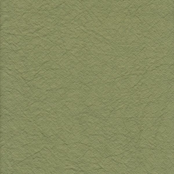 olive swatch - one size