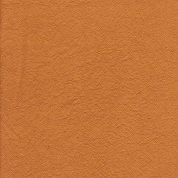 terra cotta swatch - one size
